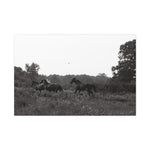 Load image into Gallery viewer, "Toward Freedom" Canvas
