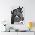 Load image into Gallery viewer, "The Mark of the Wild" Canvas
