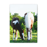 Load image into Gallery viewer, "Two Side of the Same Spirit" Canvas
