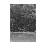 Load image into Gallery viewer, "Reflection of Freedom" Canvas
