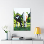 Load image into Gallery viewer, "Two Side of the Same Spirit" Canvas
