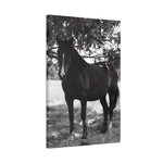 Load image into Gallery viewer, "Ghost in the Shadows" Canvas
