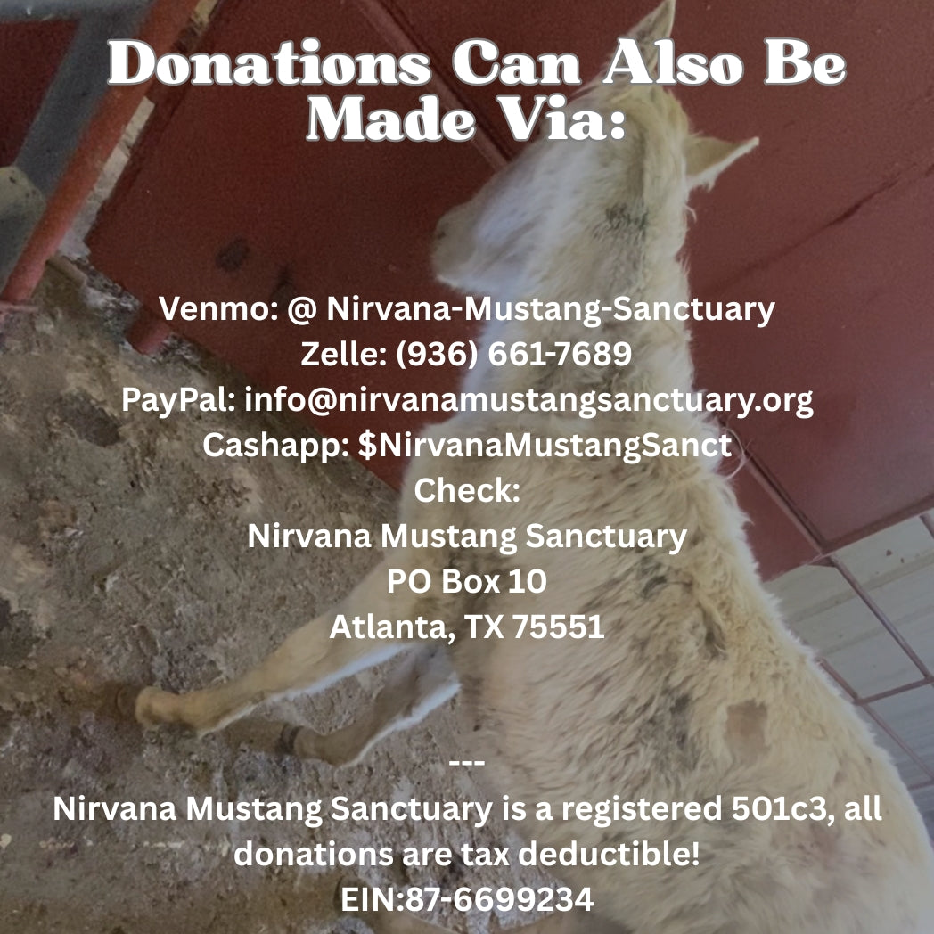 $2,000 raised out of $2,000 needed for Baby Liam's Vet Care