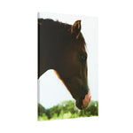 Load image into Gallery viewer, "Baby Henley's Eyes" Canvas
