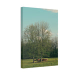 Load image into Gallery viewer, "Gathering Under the Tree" Canvas
