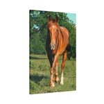 Load image into Gallery viewer, "Eyes Set Forward" Canvas
