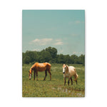 Load image into Gallery viewer, "Basking in the Sun" Canvas
