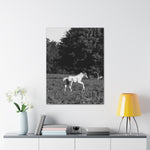 Load image into Gallery viewer, "Born to Run" Canvas
