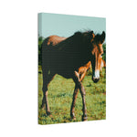 Load image into Gallery viewer, "Eyes That Follow" Canvas
