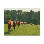 Load image into Gallery viewer, "The Way Forward" Canvas
