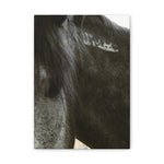 Load image into Gallery viewer, "The Story Beneath the Mane" Canvas

