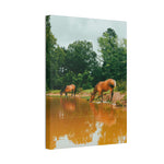Load image into Gallery viewer, "A Moment to Refresh" Canvas
