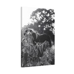 Load image into Gallery viewer, "Hidden in Plain Site" Canvas
