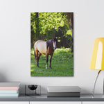 Load image into Gallery viewer, "The Watchful One" Canvas
