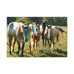 Load image into Gallery viewer, "The Gathering in the Sun" Canvas
