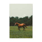Load image into Gallery viewer, "Wild in the Sun" Canvas
