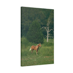 Load image into Gallery viewer, "The Golden Mane" Canvas
