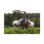 Load image into Gallery viewer, Copy of "A Family of Many Colors" Canvas
