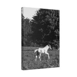 Load image into Gallery viewer, "A Moment in Play" Canvas
