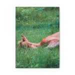 Load image into Gallery viewer, "Safe Enough to Dream" Canvas
