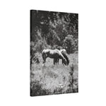 Load image into Gallery viewer, "Where Trust Lives" Canvas
