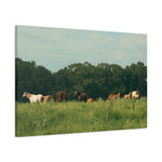 Load image into Gallery viewer, "Held by the Wild" Canvas
