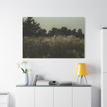 Load image into Gallery viewer, &quot;The Watcher of the Field&quot; Canvas

