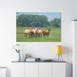 Load image into Gallery viewer, "Bonding in the Meadow" Canvas
