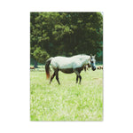 Load image into Gallery viewer, "Water Line" Canvas
