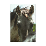 Load image into Gallery viewer, Copy of "Running to the Light" Canvas

