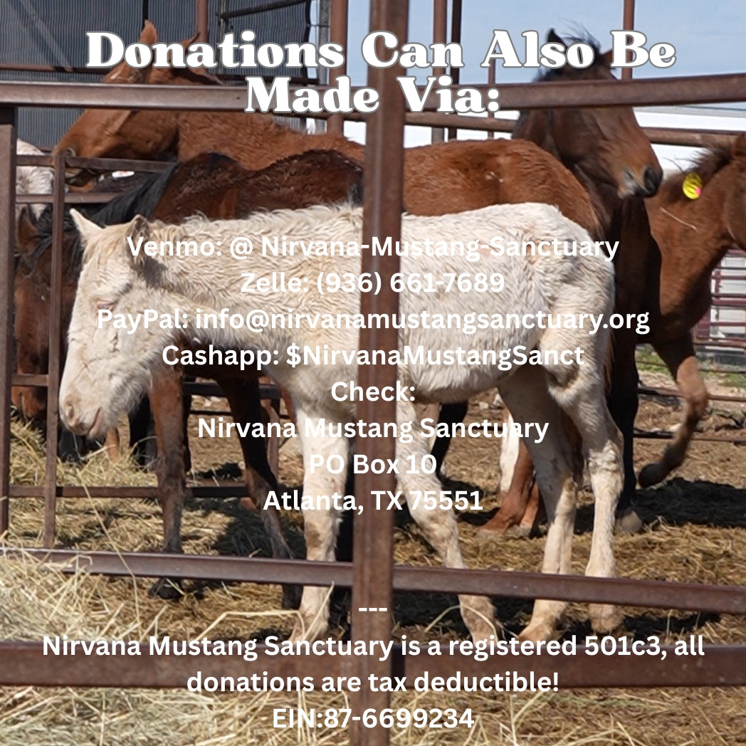 Donate to Rescue Horses from Next Bowie Auction!