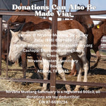 Load image into Gallery viewer, Donate to Rescue Horses from Next Bowie Auction!
