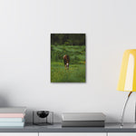 Load image into Gallery viewer, "Thor: Strength Rising" Canvas
