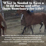 Load image into Gallery viewer, Donate to Rescue Horses from Next Bowie Auction!
