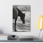 Load image into Gallery viewer, "Feathers of the Wild" Canvas

