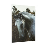 Load image into Gallery viewer, "White Horse" Canvas
