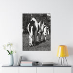 Load image into Gallery viewer, "A Place Among Their Own" Canvas
