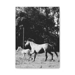 Load image into Gallery viewer, "Chasing Freedom" Canvas
