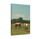 Load image into Gallery viewer, "Basking in the Sun" Canvas

