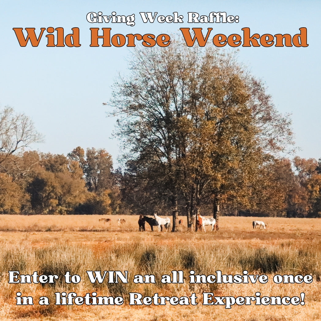 Wild Horse Weekend Retreat Raffle: 3 out of 200 tickets sold