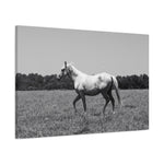 Load image into Gallery viewer, "A Study in Motion" Canvas
