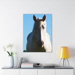 Load image into Gallery viewer, "Between Sun and Shadow" Canvas
