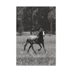 Load image into Gallery viewer, "Eyes on Freedom" Canvas
