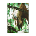 Load image into Gallery viewer, "Framed by Nature" Canvas
