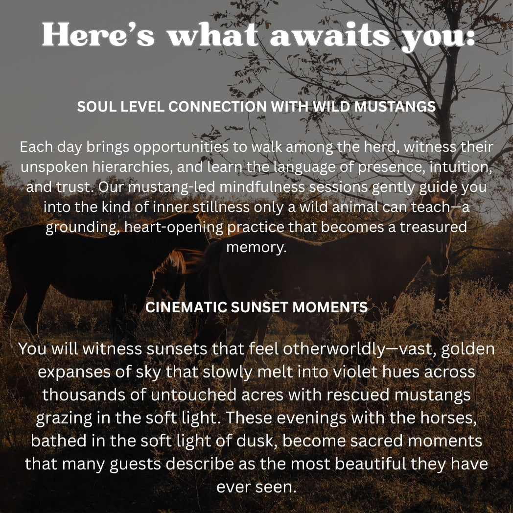 Wild Horse Weekend Retreat Raffle: 3 out of 200 tickets sold