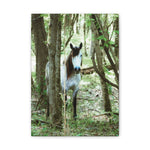 Load image into Gallery viewer, "Hidden in the Quiet-Nizhoni" Canvas
