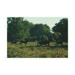 Load image into Gallery viewer, "Following the Herd" Canvas
