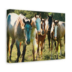 Load image into Gallery viewer, "The Gathering in the Sun" Canvas
