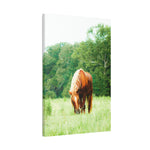 Load image into Gallery viewer, "Ely-Beneath the White Star" Canvas
