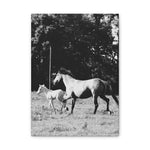 Load image into Gallery viewer, "Chasing Freedom" Canvas

